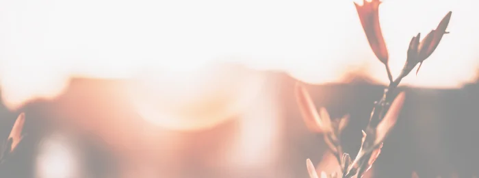 header website UVZM a